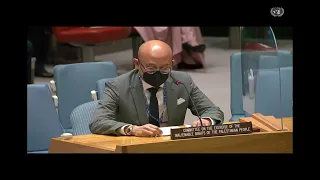 Statement of the UN Palestinian Rights Committee Vice-Chair, Security Council meeting, 19 Jan 2022