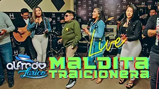 ♫ Maldita Traicionera - Alfredo Larico 💙 (Live) Huayno PERÚ