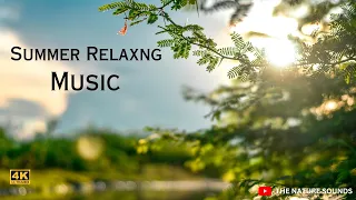 Summer Relaxing Music - Ambien Beach Ambiance and Float on Empowering Waves | THE NATURE SOUNDS |