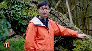 The Art and Science of Forest Bathing with Dr Qing Li