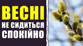 Найближчим часом тепло до +17, нічні морози лише в одному регіоні - прогноз синоптикині