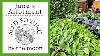 SEED SOWING BY THE MOON - all about waxing, waning and seeds!