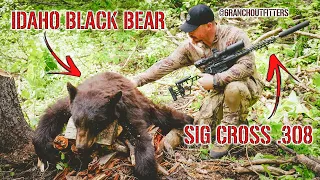 IDAHO BLACK BEAR WITH A SIG CROSS .308 RIFLE