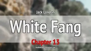 White Fang Audiobook Chapter 13