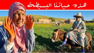 عيد مبارك سعيد .لعبة الغميضة مع نساء البادية الضحك و النشاط