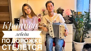 КРАПИВА-ЛЕБЕДА ПО ДОРОЖКЕ СТЕЛЕТСЯ || ОЧЕНЬ ПОЗИТИВНАЯ ПЕСНЯ || ВСПОМНИ МИЛЫЙ КАК-ТО РАННЕЮ ВЕСНОЙ