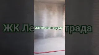 ЖК Лесная отрада, квартира моей мечты #kvartira