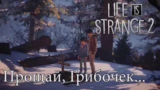 LIFE IS STRANGE 2: Прохождение - ЭПИЗОД 2 #2  Прощай, Грибочек...