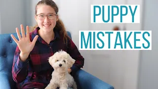 5 MISTAKES WE MADE WITH OUR MALTIPOO PUPPY | Mistakes New Dog Owners Make & How to Avoid Them