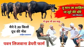 इतनी सस्ती भैंस दे दूंगा बेहोश हो जाएगा साहिल || Pawan Lijwana Dairy Farm Jind - For Sale 20 Buffalo