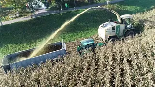 Maishäckseln mit LU Biggel mit Krone Big X, JCB, Deutz,  Kröger, Fliegl ASW 268,  Teil 10 2022 [4K]