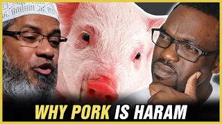 Why Pork is Haram? Best Answer from Zakir Naik - REACTION