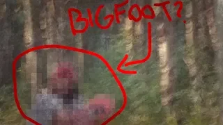 Bigfoot Proof (Very big scary, pee'd pants)