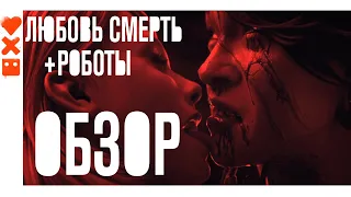 Любовь смерть и роботы обзор на сериал от Netfllix