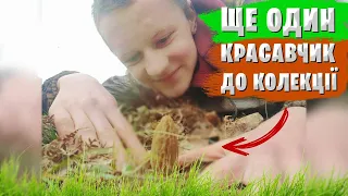 ПОПАЛИ НА ПОЛЯНУ З СМОРЧКАМИ 2021! 85 ШТУК В ОДНОМУ МІСЦІ. Весенние грибы 2021.