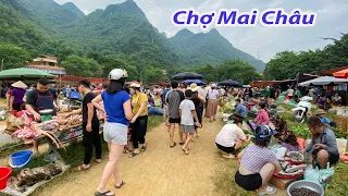 Người Hà Nội kéo nhau lên chợ Mai Châu từ 5 giờ sáng tìm kiếm đồ quý hiếm của rừng