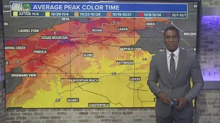 KJ Jacobs tell us where to see fall leaves in NC