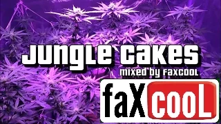 DNB MIX - DRUM AND BASS/REGGAE JUNGLE [VOL.22] (by faXcooL)