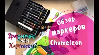 САМЫЕ ДЛИННЫЕ маркеры в мире. ОБЗОР|| Chameleon || Как заменить перо маркера?