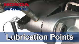 Honda Marine DIY Lubrication Points