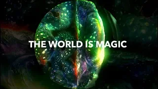 Terence McKenna - The World Is Magic