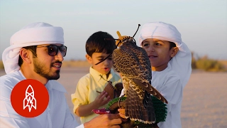 Generations of Flying Falcons in Dubai’s Desert