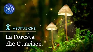 Meditazione guidata guarigione fisica - La foresta che guarisce