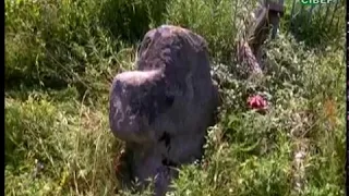 Древні хрести з каменю знайшли в Кудлаївці на Новгород-Сіверщині