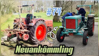 Kartoffeln Häufeln | Trecker für den Nachbarn | Güldner g40 | Hanomag Perfekt 401 | oldtimer_junkie