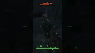ОПАСНЫЙ ГУЛЬ БЕЗ РУК В Fallout 4 🤣🤣