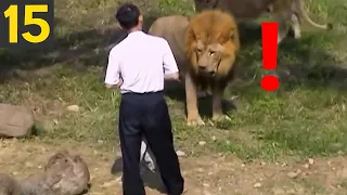 Top 15 STUPID ZOO GUESTS - what were they thinking?