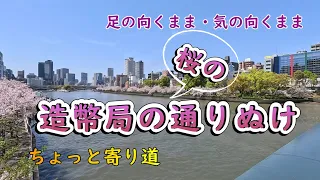 【ちょっと寄り道】造幣局の桜の通り抜け2024 　#大阪イベント　#桜