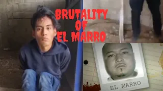 The Brutality Of Cartel Santa Rosa De Lima | Two Suspected C.J.N.G Members Meet A Horrific Demise