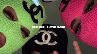 Cochise- hatchback ( s l o w e d + r e v e r b)