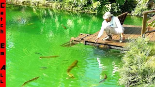 FISH STOCKING a SECRET CRYSTAL Water GARDEN OASIS POND!