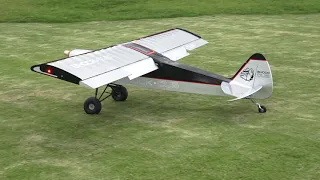 SEAGULL SAVAGE SHOCK CUB