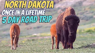 North Dakota Road Trip: 5 Days 300 Miles