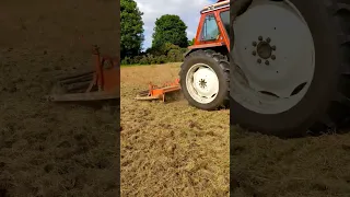 Fiatagri 90-90 and Howard HR30 Rotaspike breaking up dead grass and rushes #agriculture #fiatagri