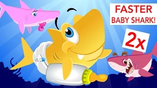 Faster and Faster! Baby Shark | Animal Songs | by Little Angel