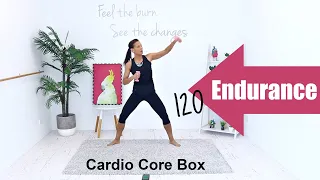 INTERVAL WORKOUT Kickboxing WORKOUT -  Barlates Body Blitz Endurance 120 Cardio Box Core