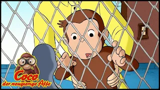 Coco der Neugierige Affe 🐵 102 Der Vogel mit dem Ring 🐵 Ganze Folgen 🐵 Cartoons für Kinder🐵Staffel 1
