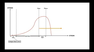 The Stress-Strain Curve EXPLAINED [for Ligaments & Tendons]