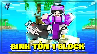 Siro Và Noob Ruby Thử Thách Sinh Tồn 1 Block Nhưng Thế Giới Bị Giới Hạn Trong Minecraft