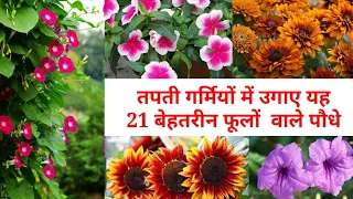 (Summer Flowers)मार्च में ही लगा ले यह गर्मियों के फूल ||Best Summer Flowering Plants In Summer 2021
