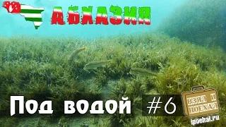 Взял и поехал! #6 Абхазия под водой. Дайвинг, Белые скалы