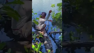 Mancing ikan kecil-kecil di bakau🤤 #11