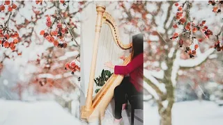 Song From A Secret Garden | Relaxing Harp Music | Harp Learning Week 52