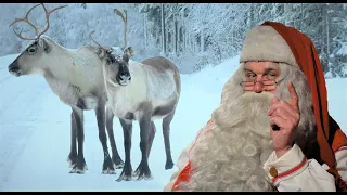 Renne di Babbo Natale 🦌🎅 Santa Claus in Lapponia Finlandia: Pello Terra di Renne