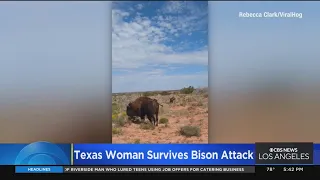 Caught on Camera: Texas woman survives bison attack