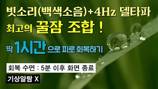 낮시간 최고의 꿀잠 조합 1시간 : 빗소리(백색소음) + 4Hz 델타파